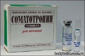 Соматотропин и Джинтропин - Гормоны роста