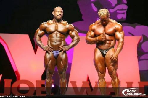 Mr.Olympia 2008 - Фото (Foto 006)