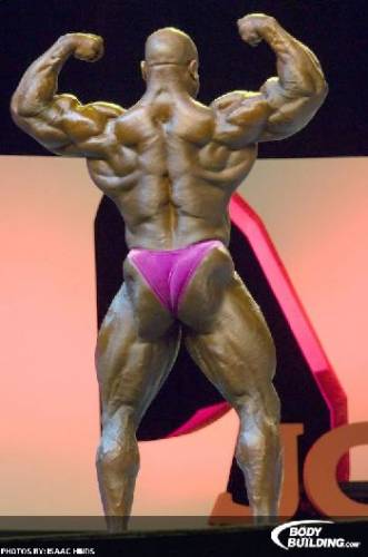 Mr.Olympia 2008 - Фото (Foto 005)