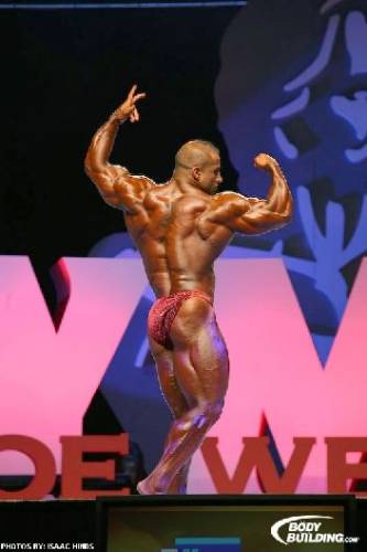 Mr.Olympia 2008 - Фото (Foto 013)