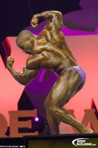Mr.Olympia 2008 - Фото (Foto 023)