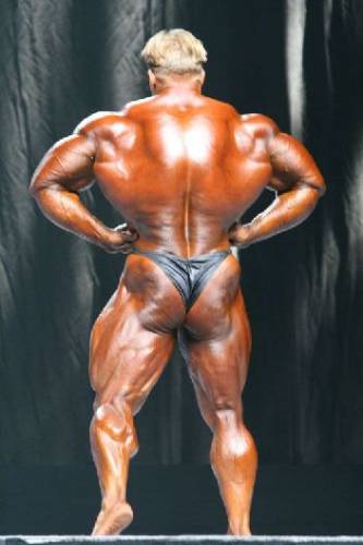 Mr.Olympia 2007 - Фото (Foto 076)