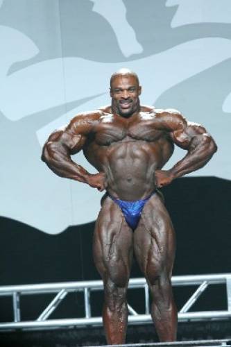 Mr.Olympia 2007 - Фото (Foto 068)