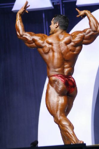 Mr.Olympia 2006 - Фото (Foto 010)