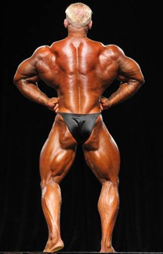 Mr.Olympia 2010 - Фото (Foto 046)