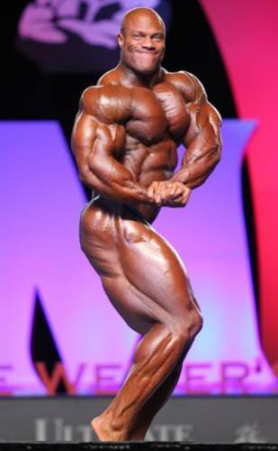 Mr.Olympia 2010 - Фото (Foto 021)