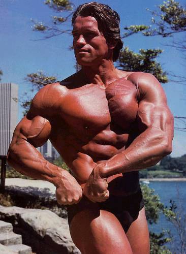 Арнольд Шварценеггер (Arnold Schwarzenegger) - Фото (Foto 019)