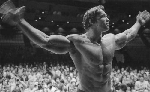 Арнольд Шварценеггер (Arnold Schwarzenegger) - Фото (Foto 012)